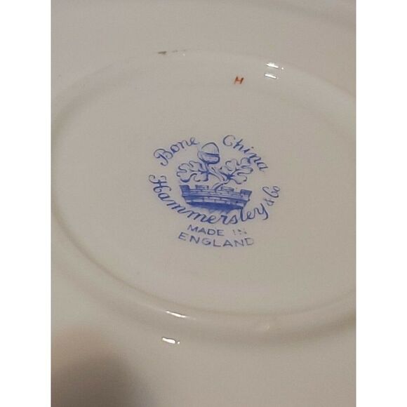 HAMMERSLEY TEA CUP AND SAUCER SET Country Cabin Scene Vintage Blue Trim Floral - Picture 4 of 9